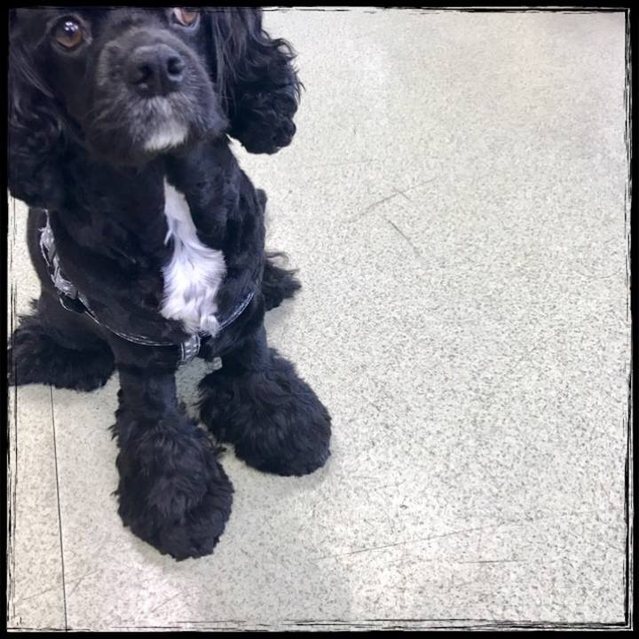 Ccc602d1 edee 4c3b b2ad 9224cc19fb7d 1530275417623