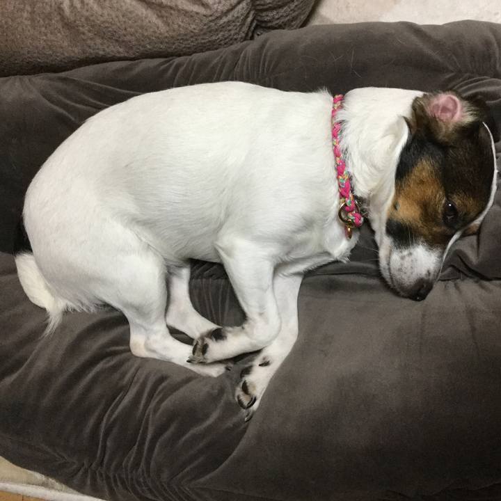 Ccc60c2b e763 4515 b305 9a6b834356dd 1511607755251