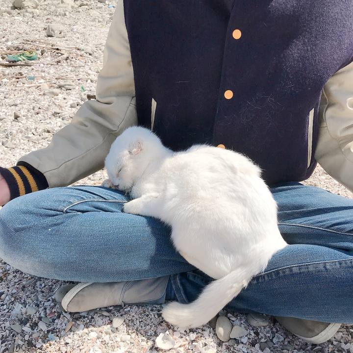 Ccc61bf1 1bf2 49d9 99b8 19754a5b5d17 1584756572401