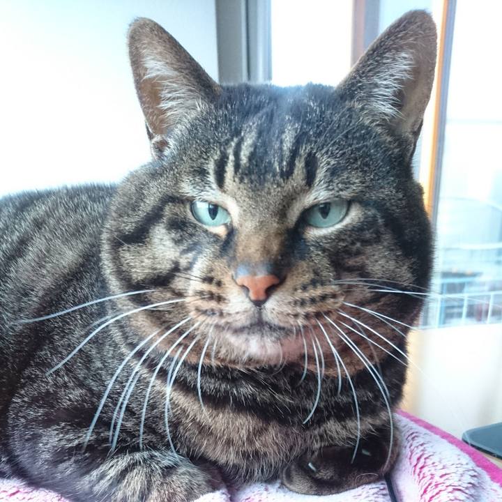 Ccc6243f 4ffc 4ff2 9e06 540307eb15de 1522532685702