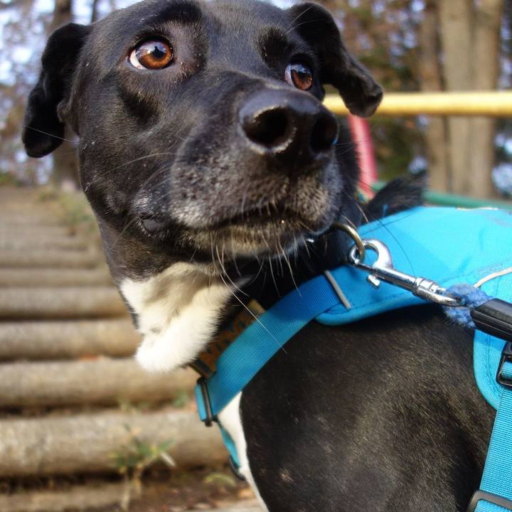 Ccc62c6b 92bb 428e af81 1d0366119078 1607904766934