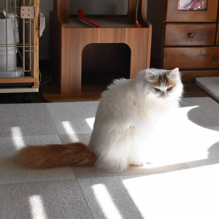 Ccc63a4b 709d 4f53 abb8 720ea827eaaa 1774672870986