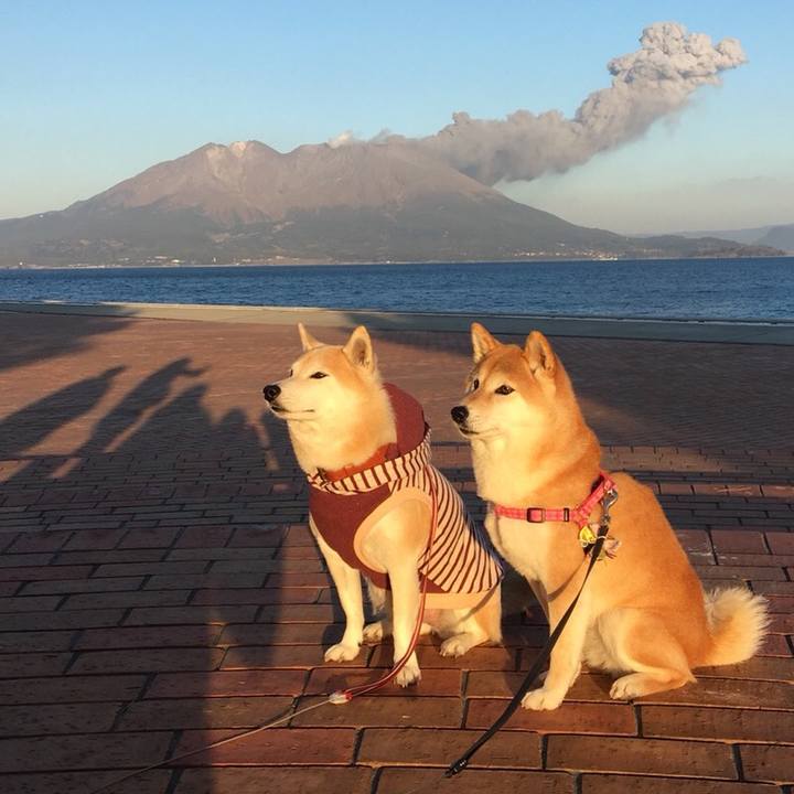 Ccc67868 ce97 434c b51b c046db85f8a7 1514863182944