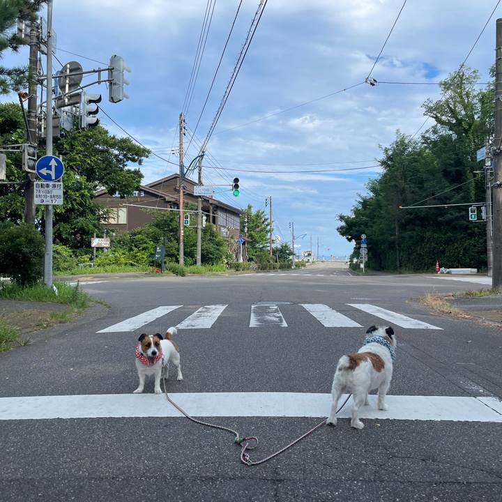 Ccc6c415 67b0 4e86 85b8 afaae86ba46d 1691018899456