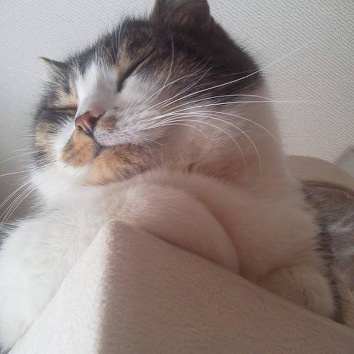 Ccc6ee75 0c17 4593 b507 36a641863aaa 1557617484681