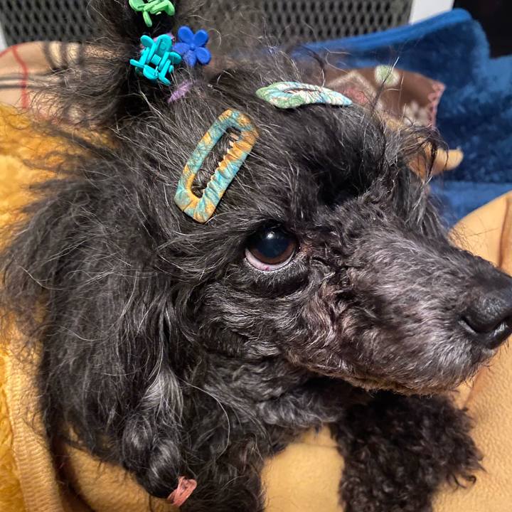 Ccc6f15e f4d1 44ef bf59 b3eb8c19ee77 1675862298655