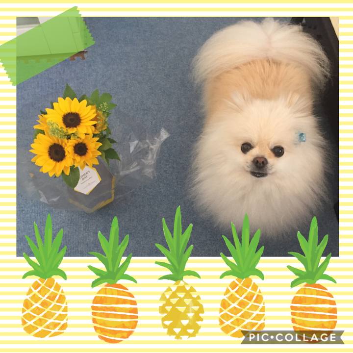 Ccc72402 cee9 4807 bfad 384d26b13661 1592462882333