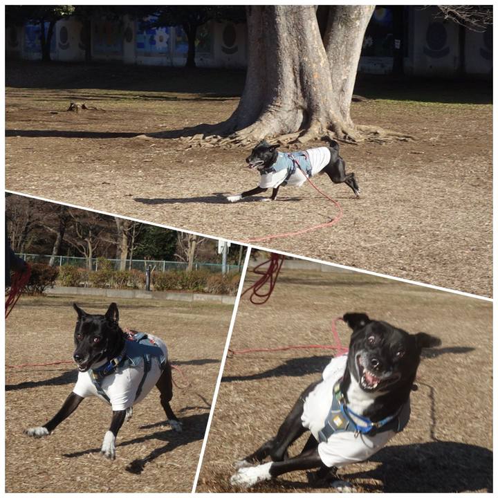 Ccc734b2 f9c2 4b4a af74 2cc488864227 1707701968406