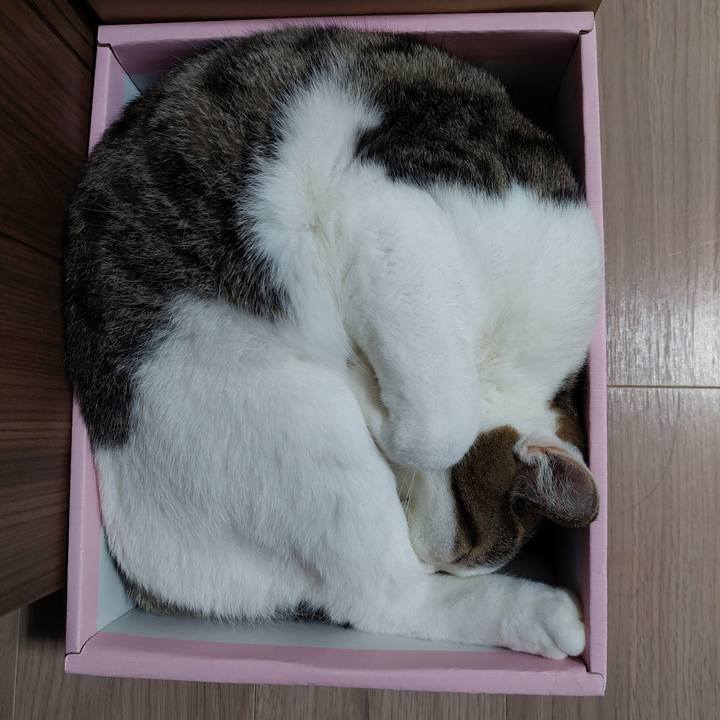 Ccc7a91d 281f 4e4a b94d 9fa158220976 1632692472670