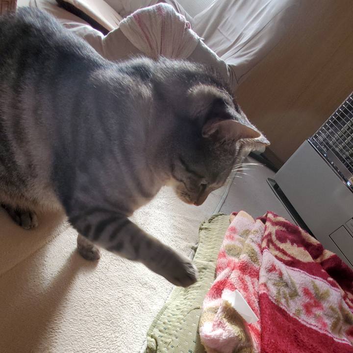 Ccc7b3c0 0816 4de0 a921 dbb0e99c644c 1699936734665