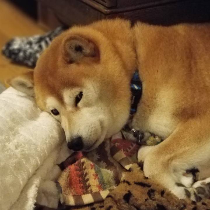 Ccc7b79c 97c9 4361 95c4 8cbd92ffff9d 1555327044674