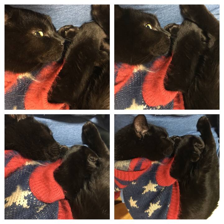 Ccc7c3f9 2c88 43fc 8386 a146cd1bec2e 1541939193405