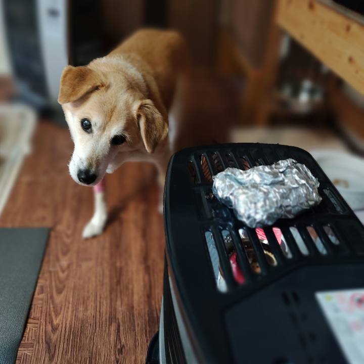 Ccc7dded 633d 4f26 9c7d 2de952e5dd95 1643093890438