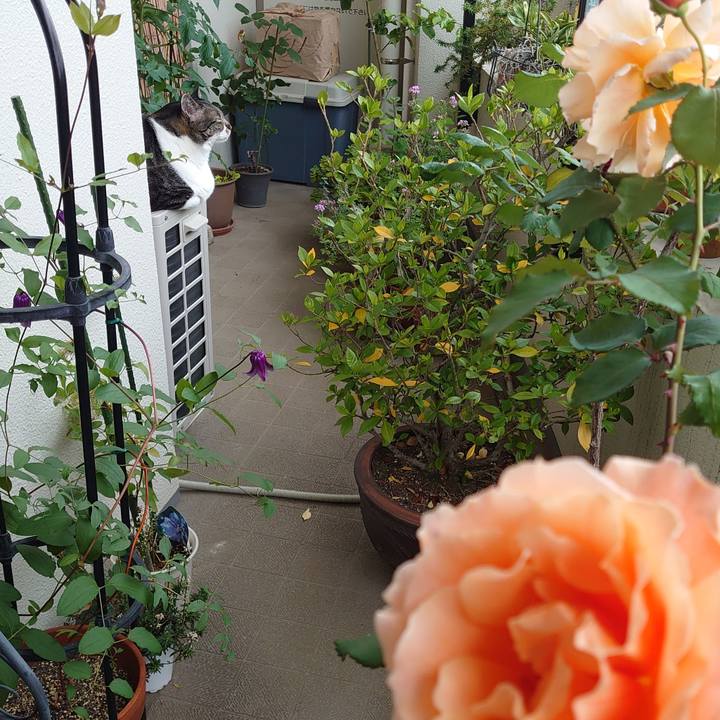 Ccc7efeb 979c 44a9 9a9f 7c6bfbacc511 1591495853257