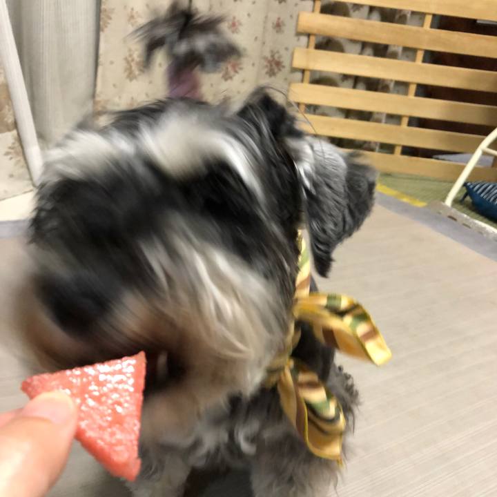 Ccc7f568 baea 408f 8d69 0e82403adb13 1626531849150