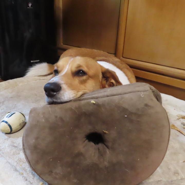 Ccc8199b 23f0 4e63 b84f 417a72897001 1650497881216