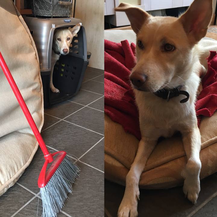 Ccc83153 5616 415e baf8 0d990ca2a042 1509840760284