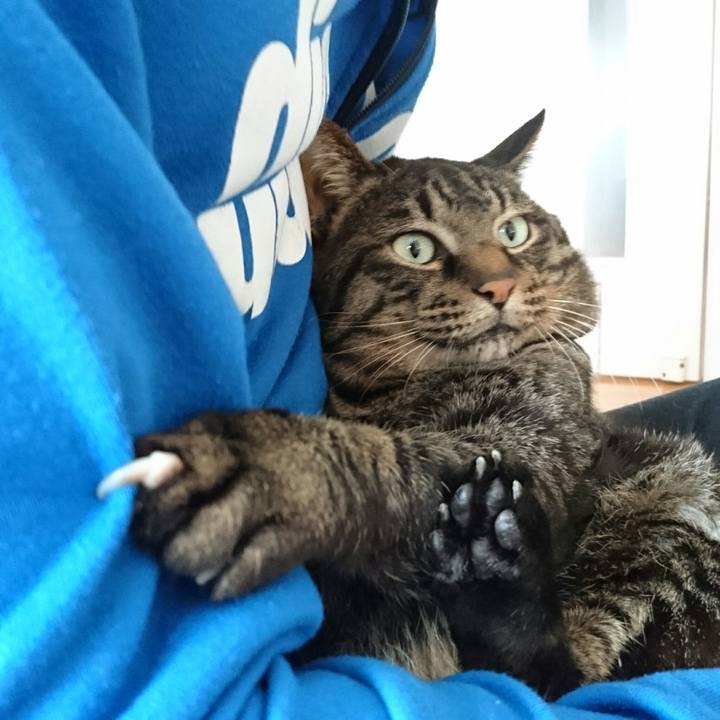 Ccc84831 26d1 44d9 b4f6 83bb94d5bde3 1511054916943