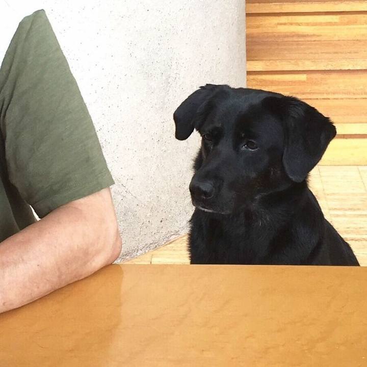 Ccc857ad 30a9 40b9 a86f be514dd97ba6 1563162623304