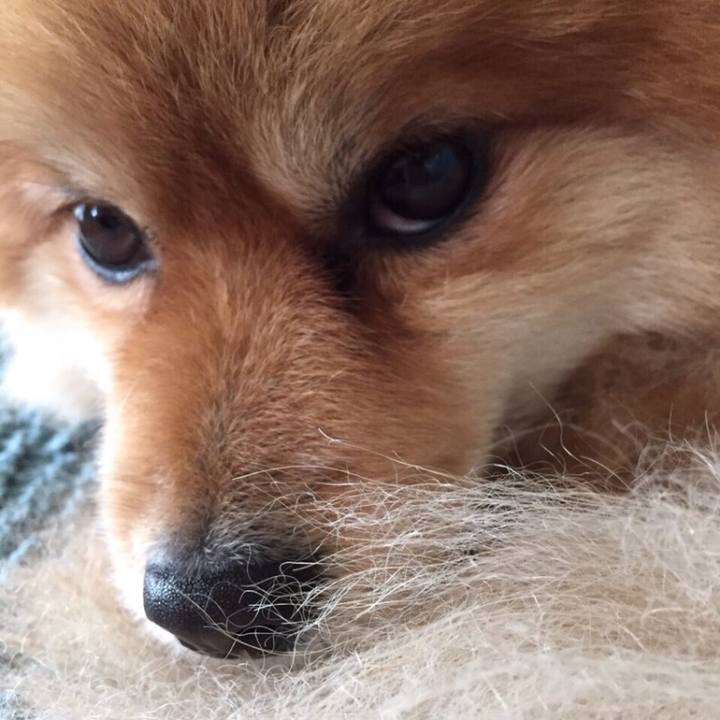 Ccc8631f 913c 4d83 a767 c6699487b003 1541990808835