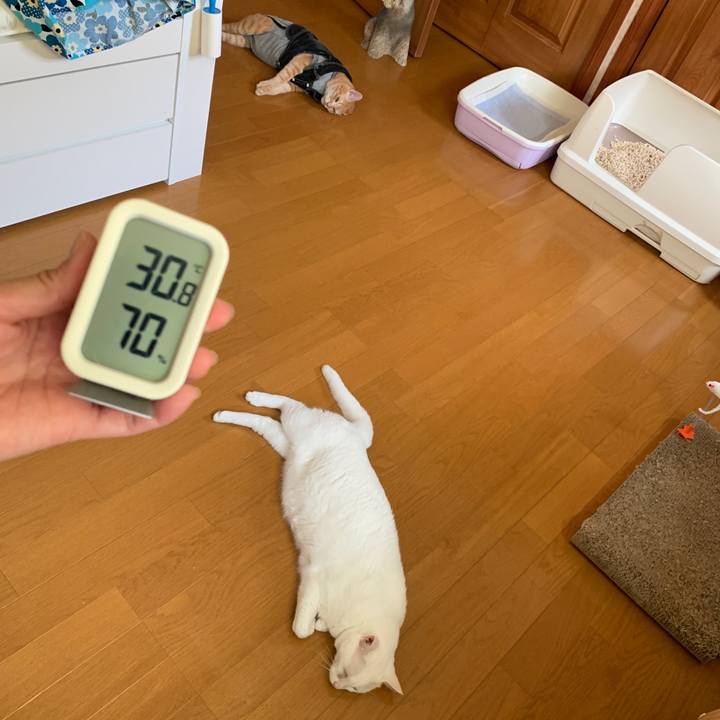 Ccc87c19 9c71 4038 bd4f b7ce110ddc3b 1658379177817