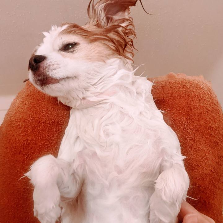 Ccc8e12e 8397 40d3 9bbd fd0608a5a641 1616851556488