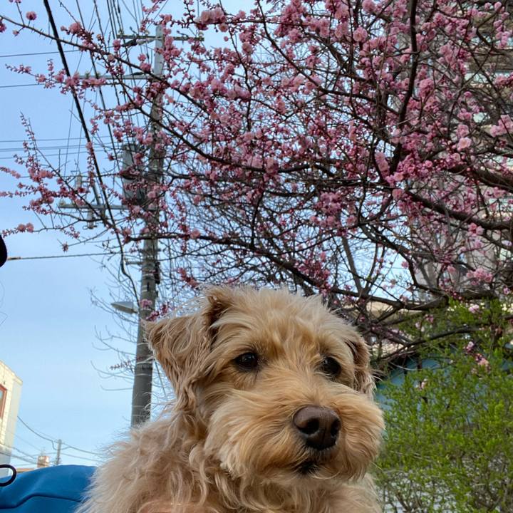 Ccc8ec42 ff6e 481b a1a8 e3b655a418f3 1651235011059