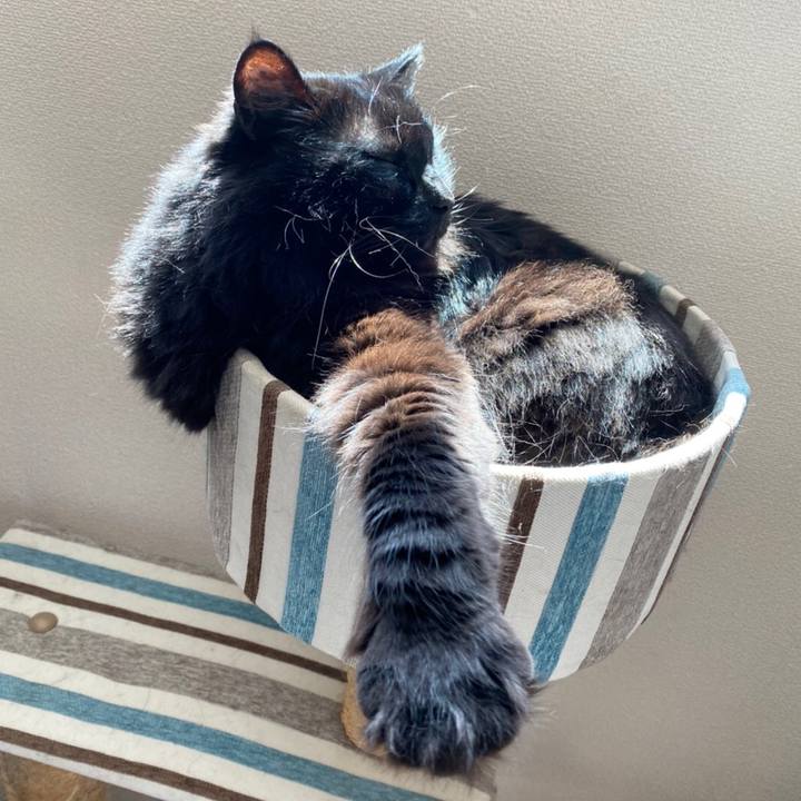 Ccc908ea 6cd4 4289 9199 b45cd5f45c56 1591268489710