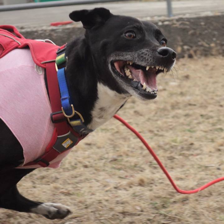 Ccc9168b 631c 49ac aa7f 93e5776d6d39 1677116995137