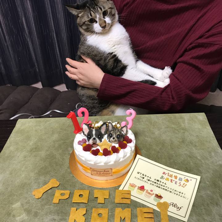 Ccc9258e 9c1a 43a7 b97b 134fabf950b0 1509154040267