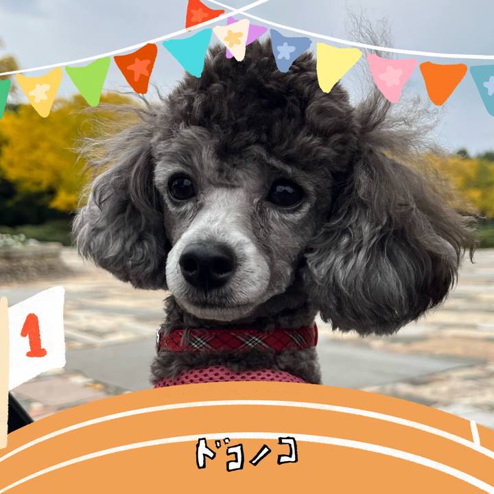 Ccc93240 94c3 4221 ae00 8d1d31db7139 1763271304660