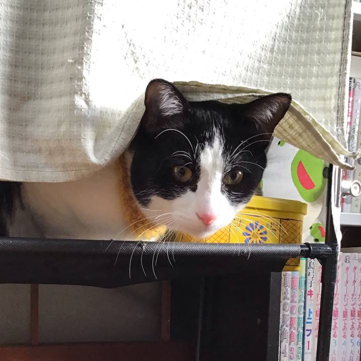 Ccc94132 40c5 4806 95fa e0f0a97fc232 1645830779063