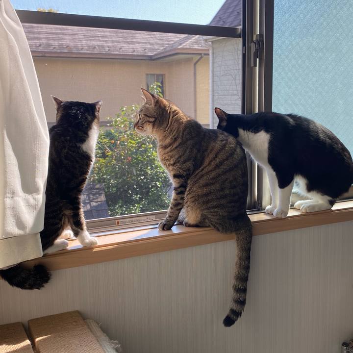 Ccc95690 2b8f 4d33 b771 e397f1cbe272 1667594871057