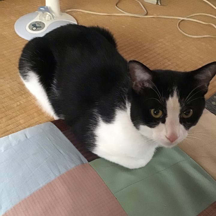 Ccc98735 07a7 405b a873 3e00c0b50cc6 1656217840819