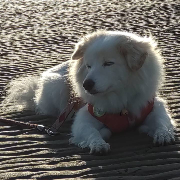 Ccc9a304 d196 4dab a021 f0afa1b8867a 1668255865042