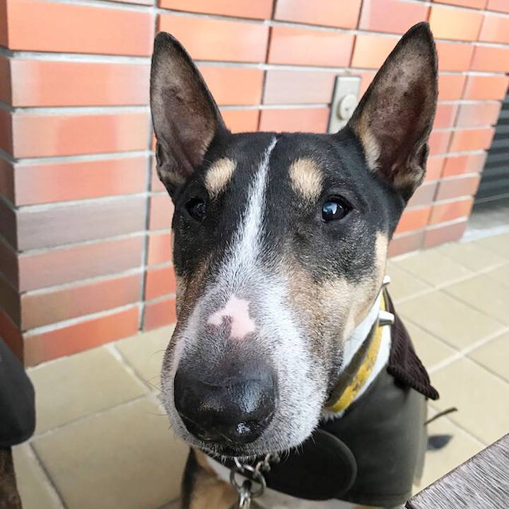 Ccc9b8f0 3e62 4eaa 94c2 b12ce0f0c3b7 1515056155688