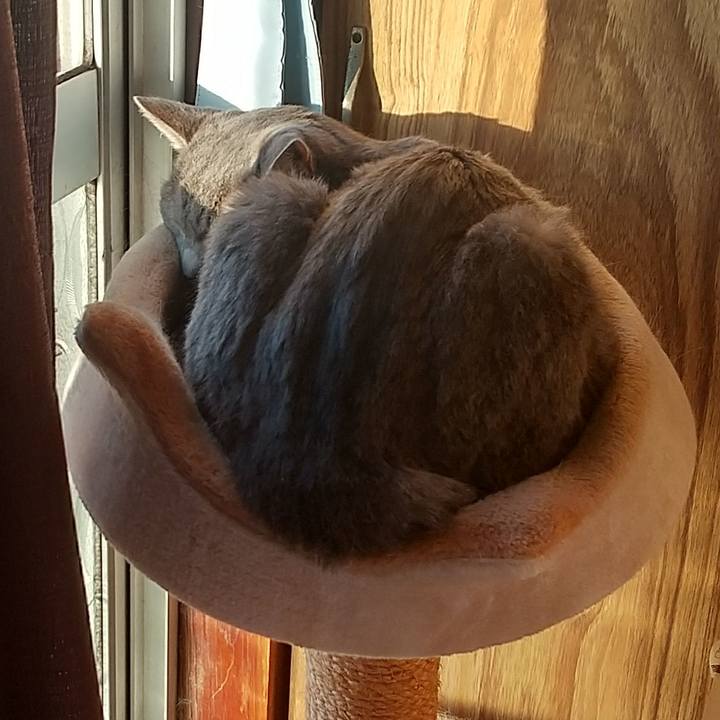 Ccca0a61 7627 428e 86fd 5ad6953a8c4c 1663276849264