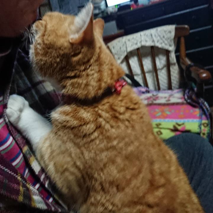 Ccca2aa2 d98f 4d14 86cc 3a7269e671ac 1579381575144