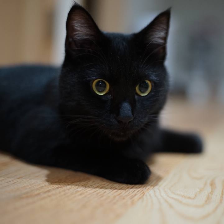 Ccca2ef2 c487 4728 a38d 86f196edd80b 1529969541556