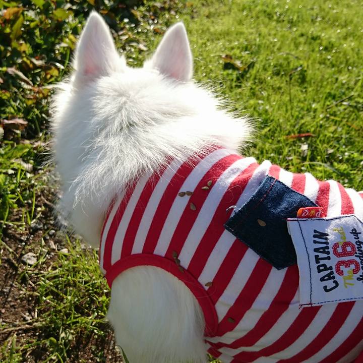 Ccca30e1 81c2 4465 b296 487371a3e5d7 1509602382037