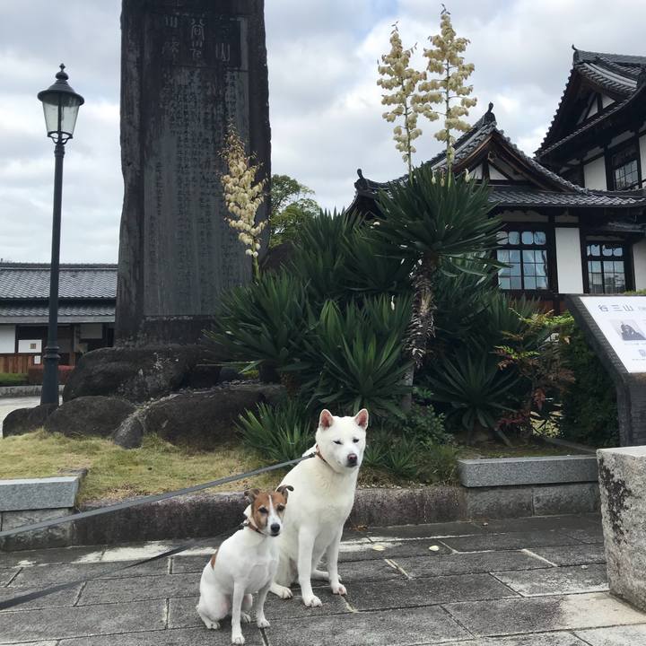 Ccca31b4 b0da 4d40 9fda c7b4626ed723 1510448235867