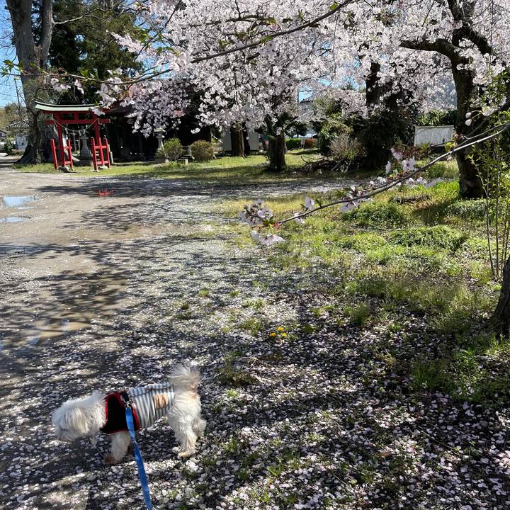 Ccca3a9c 037b 48f3 b828 8c9d1f6eedfc 1712833031090