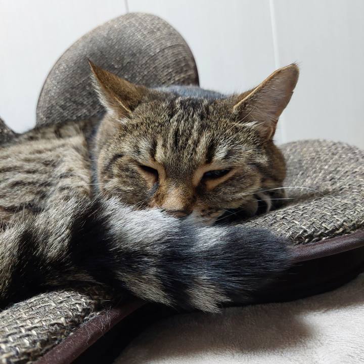 Ccca5d17 40ad 437d 982d 059002266776 1741731150443