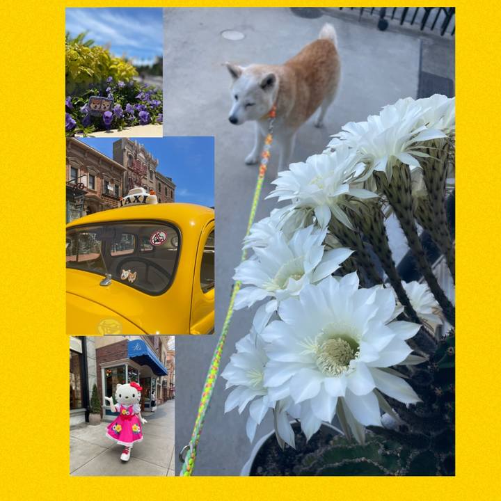 Ccca5f3c d80b 453d 8dd0 0cdfe08d70d4 1656466652627