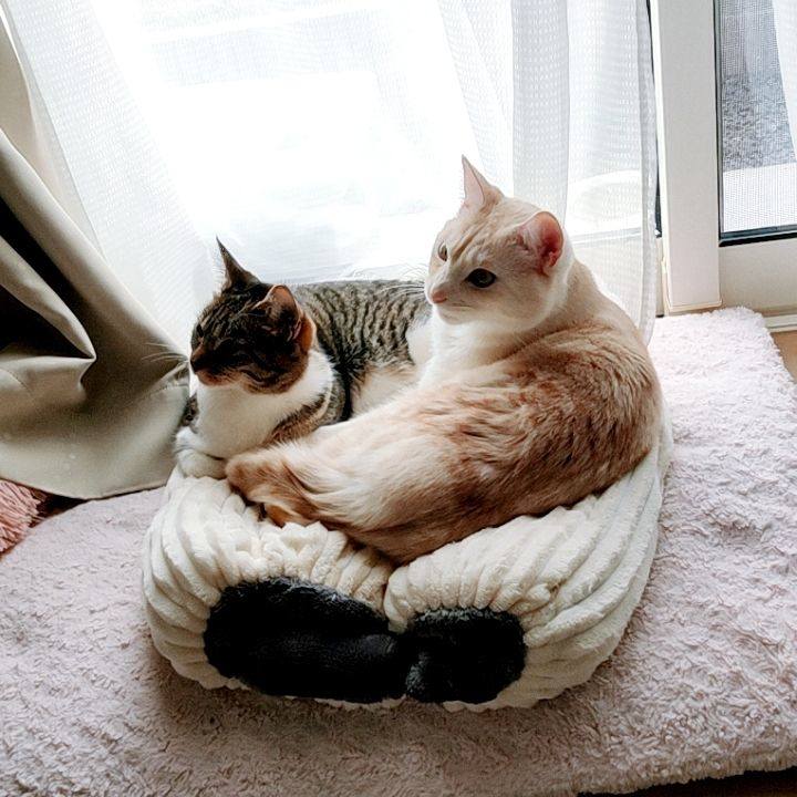 Ccca76e1 6444 40eb 8206 4f38fe18c5ac 1677729749482