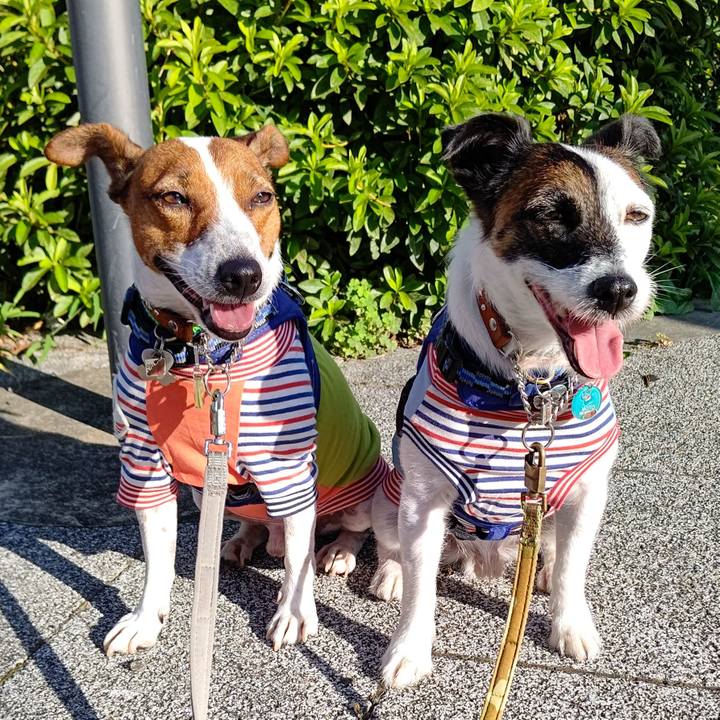 Cccabd9c 9798 435e ae7a ede040a55601 1626645813655