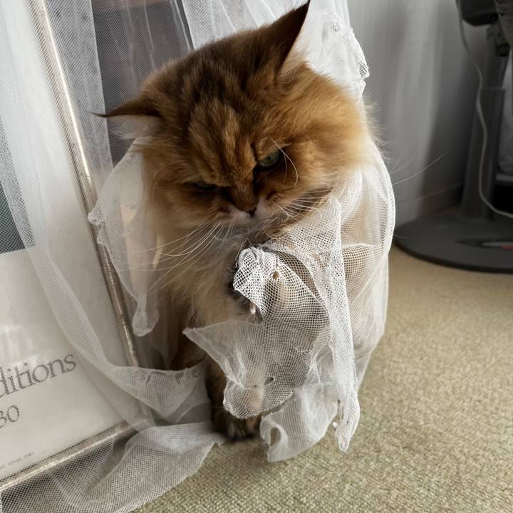 Cccac7c9 b358 45fa be25 26e027eda683 1769586367570