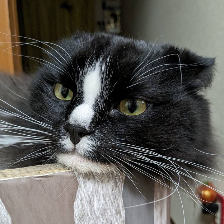 Cccae524 2904 44f1 b42e a566f333f30d 1701606079453