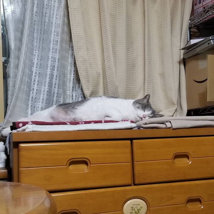 Cccae5cb c809 49c4 be47 03f7e48fb3b7 1662651885820