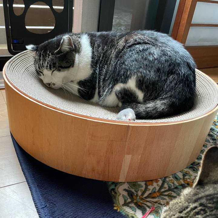 Cccb0a12 6fc9 4c9f 98fd 7d7ca3a042cd 1634021454881